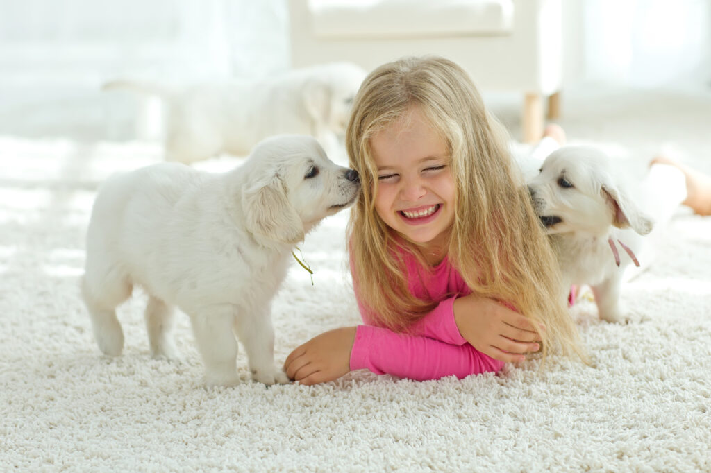 Little Girl Lying On Mat With Puppies