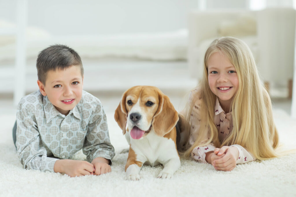 Children With A Dog